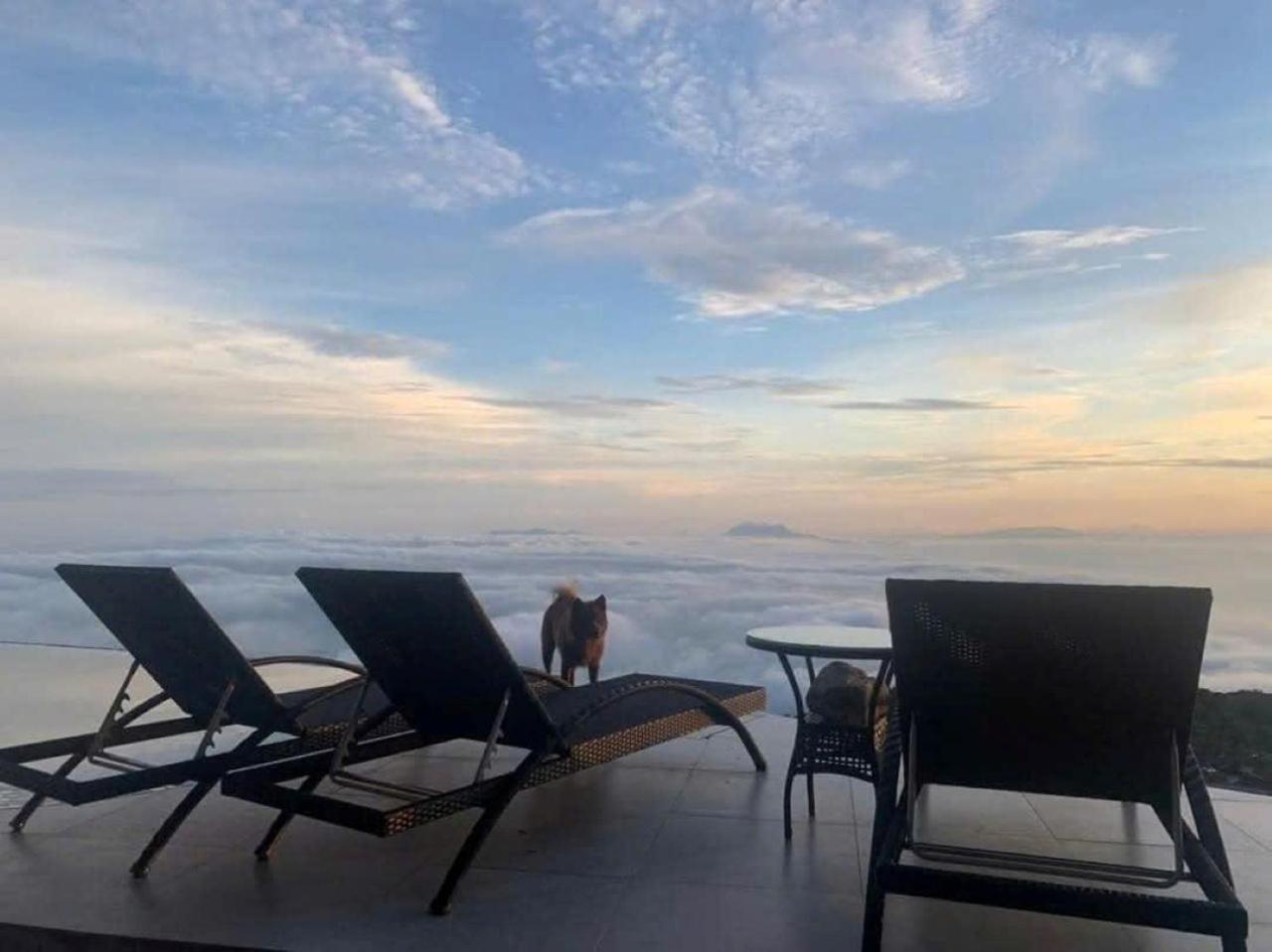 Chuon Chuon Villa Homestay Tam Ðảo Eksteriør billede